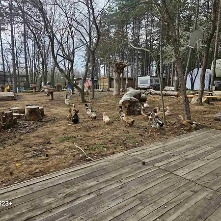 шангри ла - 1, плаж градина Camping *